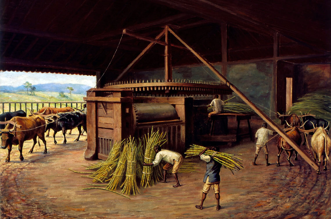 A large sugar cane mill, with black men at work. Oxen attached to the machine make it turn.