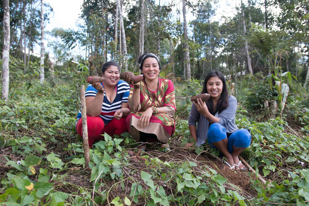 Jaxuka Aline, Jerá Guarani e Para Poty Priscila na colheita de batata doce Acervo Terra Indígena Tenondé Porã